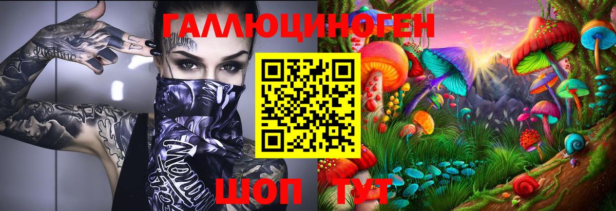 Псилоцибиновые грибы Psilocybine cubensis Таганрог