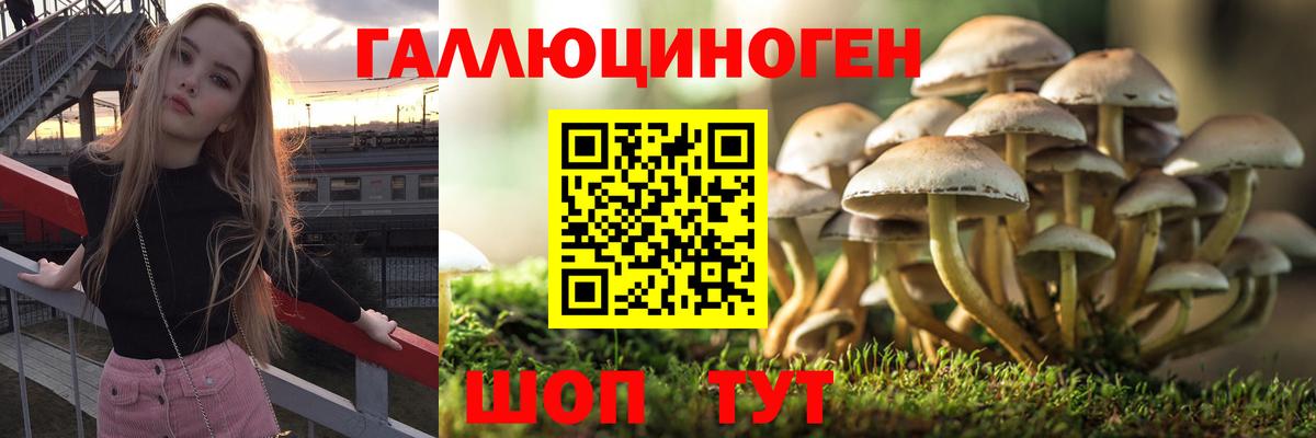 Таганрог  Галлюциногенные грибы Magic Shrooms  Вход с VPN 